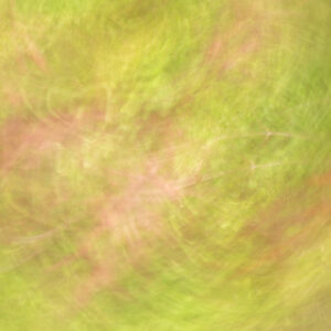 Danse au jardin