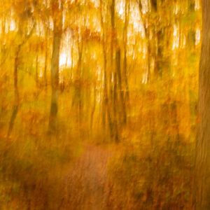 Impression automnale