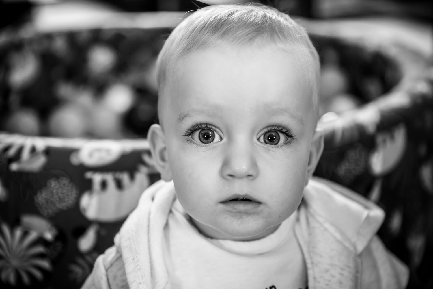 portrait bébé Normandie